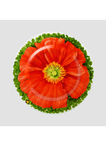 PRATI ITALIANI - Салатница