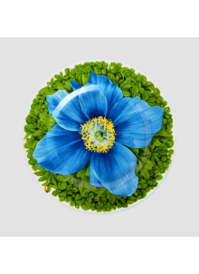 PRATI ITALIANI - Салатница